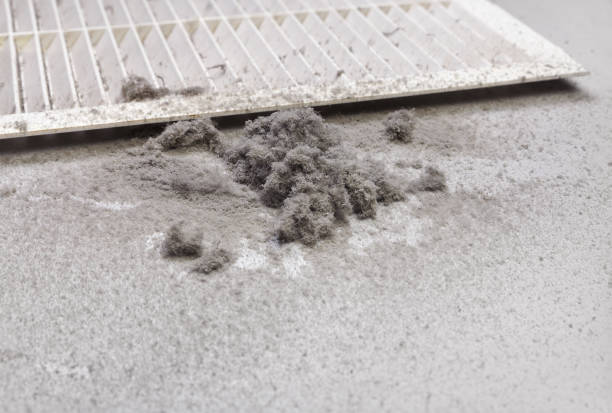 Best Residential Air Duct Cleaning  in Prospect Park, NJ