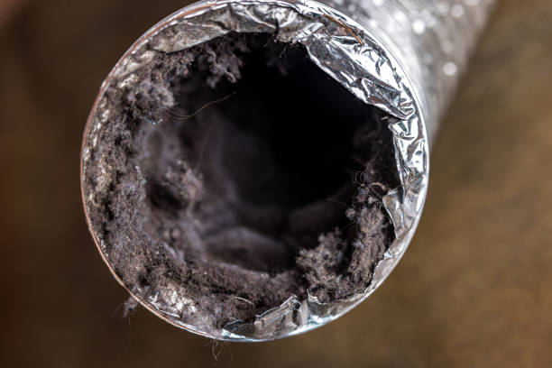 Best Affordable Air Duct Cleaning  in Prospect Park, NJ